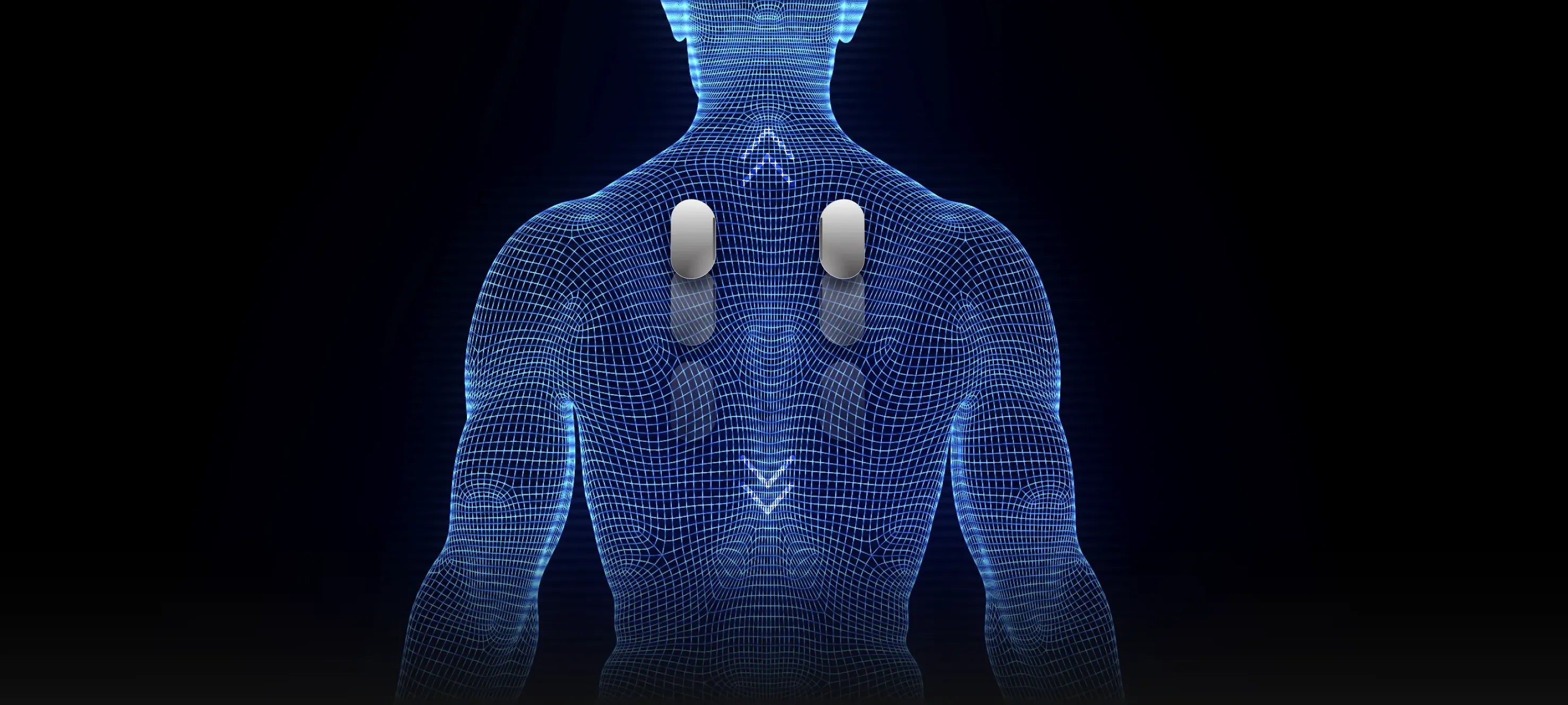 Osaki OS-3D Champ II - Body Scan
